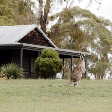 Palmers Lane Estate Hunter Valley Pokolbin Dış mekan fotoğraf
