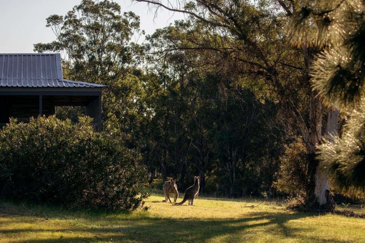 Palmers Lane Estate Hunter Valley Pokolbin Dış mekan fotoğraf